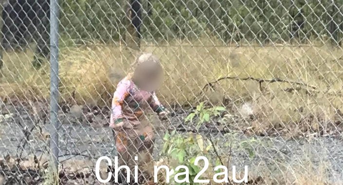 12 .jpg,0