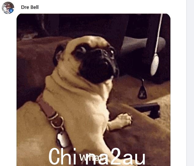 警方发布的帖子立即受到社交媒体用户的欢迎,他们分享了有关该事件的模因和评论