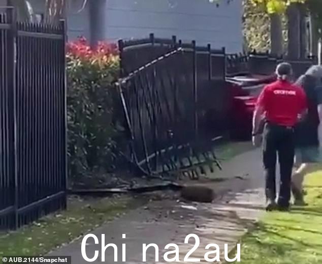 在旁观者拍摄的镜头中,人们追逐汽车,因为它在人行道上不规则地曲折行驶,最终撞上栅栏并停下来