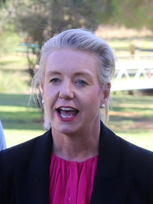 然而，国民党参议员布里奇特·麦肯齐 (Bridget Mackenzie) 强调，澳大利亚人在工党领导下过得很艰难。图片：Sky News Australia
