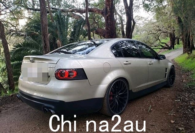 金色 HSV Senator 在 Gisborne 被发现,据称对汽车的搜查发现了一把砍刀