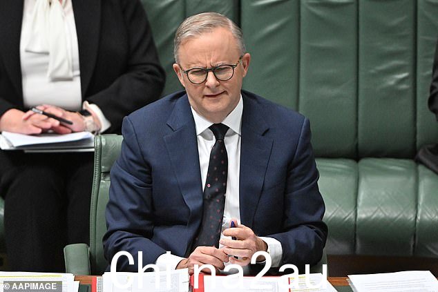 Albanese 先生(如图)表示,他期待与总理莫迪在悉尼庆祝澳大利亚充满活力的印度社区