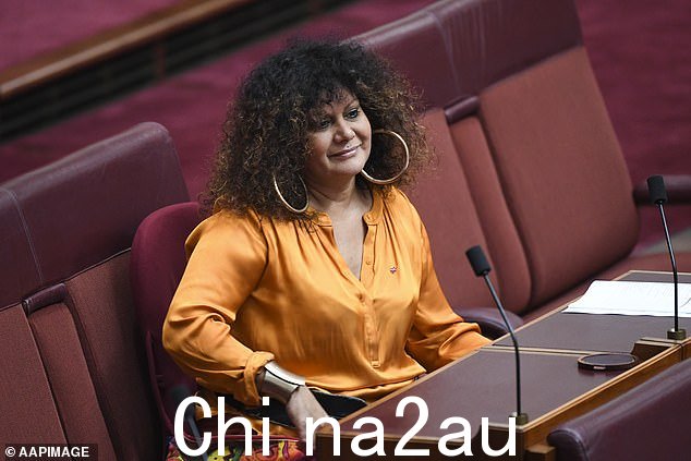有争议的参议员 Lidia Thorpe 与原住民工党参议员 Malarndirri McCarthy(如图)发生争执