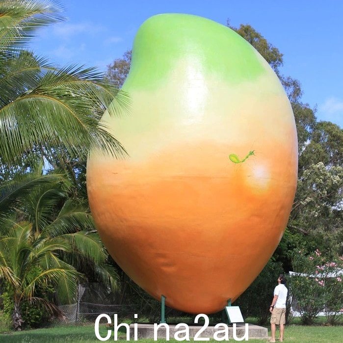 澳大利亚昆士兰博文镇的 Big Mango 今天庆祝其 21 岁生日。
