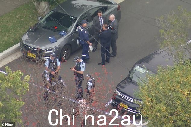 数十名警察正在现场调查悉尼北岸的重大事件