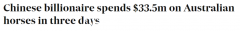 中国富商3天花3350万买下60匹母马！众人惊呆：没见过这么浪费钱的（组图）