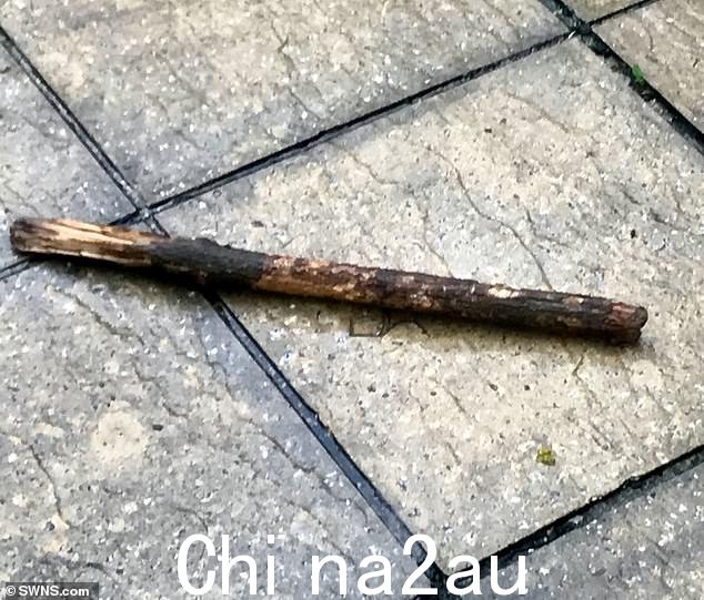 作为七年骚扰活动的一部分,一根棍子被扔进了这对夫妇的花园