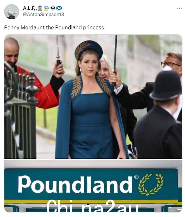 这位政治家在皇家服役后成为无数模因的主题,其中一个将她的着装与 Poundland 标志进行比较
