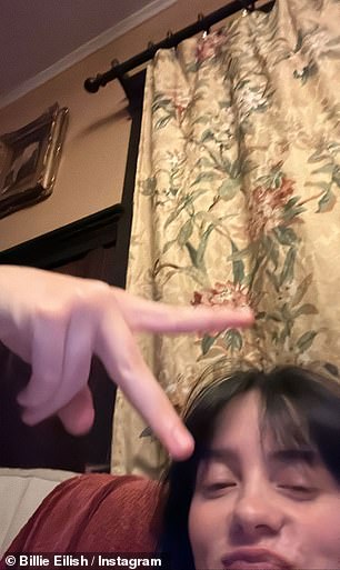 和平!然后,她分享了一张自己举着和平标志的照片,实际上结束了她的 Instagram 故事系列