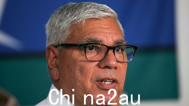 Warren Mundine 与 Lidia Thorpe 就反对声音问题达成一致。图片:Dylan Robinson