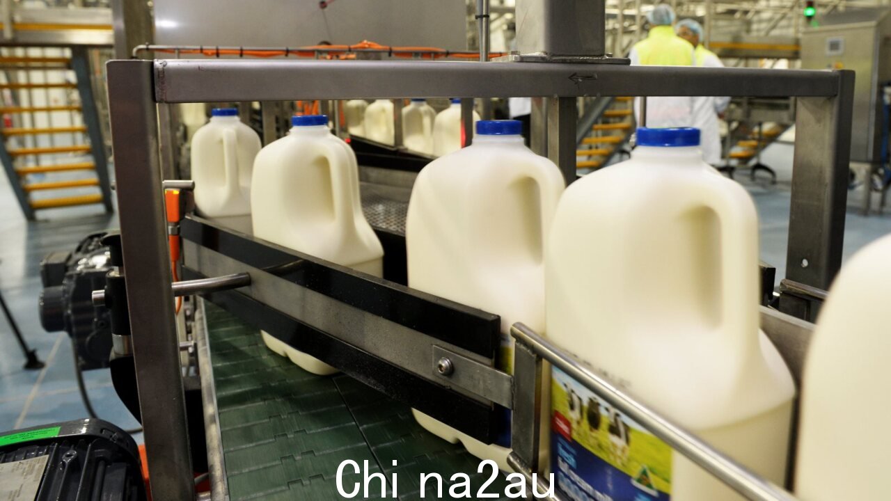 由“生”奶牛制造公司已停止运营，因为它进入自愿管理。图片：Facebook。 s