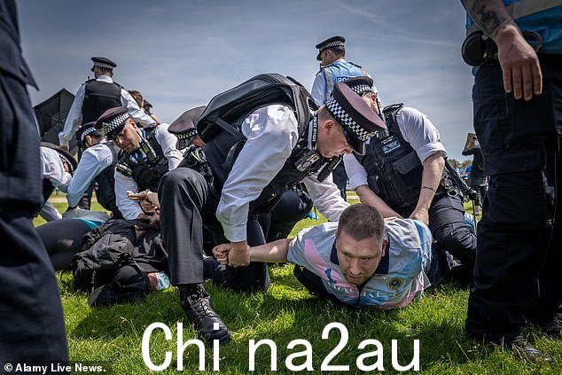 昨天海德公园的示威活动爆发暴力事件后,警方逮捕了一名男子