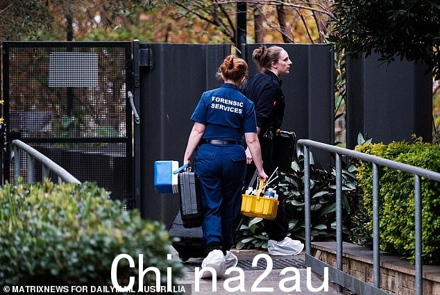 警察和护理人员在悉尼西南部 Riverwood 的一个单元房内发现了这名蹒跚学步的孩子的尸体,旁边还有他 45 岁的父亲,他的父亲受了重伤,据信是自己造成的