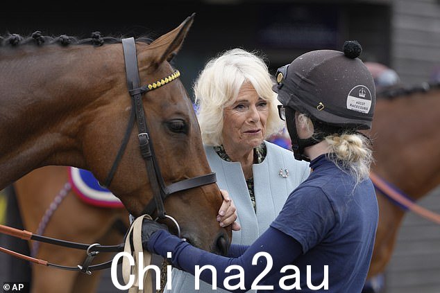 Queen Camilla 在主庭院的 Best Turned Out 部分抚摸着一匹名为“Send Her Victorias”的马