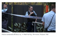 悉尼爆发重大悲剧，一名3岁孩子惨死家中！真凶让众人大吃一惊……（组图）