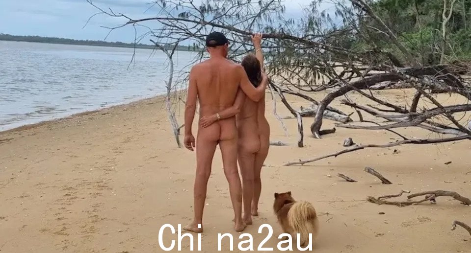 在海滩上，可以看到一男一女手挽着手，背对着镜头，还有一条狗。