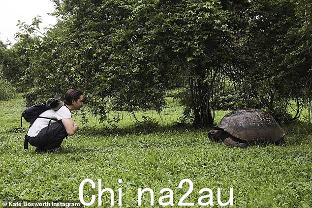 分享瞬间:久久凝视着一只巨大的乌龟在草地上爬行