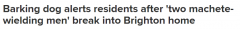 可怕！两名男子白天持刀闯入墨尔本内城区一户人家，屋内狗狂吠（图）