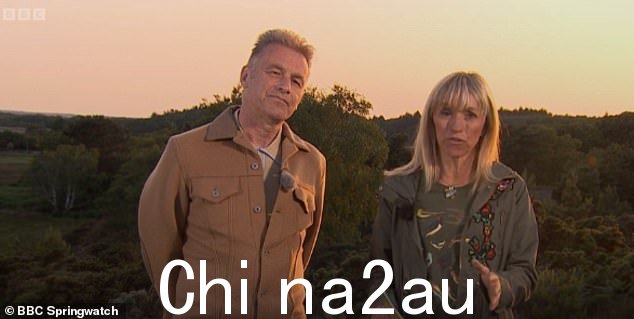  “这是对 Holly 的厚颜无耻的挖苦：”Springwatch 的 Michaela Strachan 震惊了粉丝，因为她在周一的节目中似乎“嘲弄”了今早主持人她的复出声明