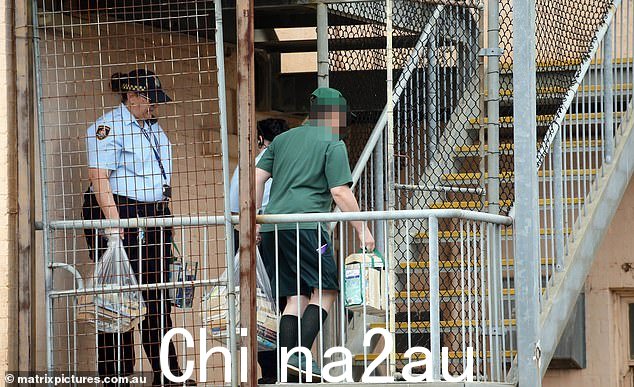 这位 55 岁的女子在银水女子监狱度过了数年(如图),她在 2017 年因殴打一名狱友而臭名昭著