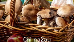 澳洲华人采摘野生蘑菇上线销售！专家警告：一定要有证，误食可能中毒（图）