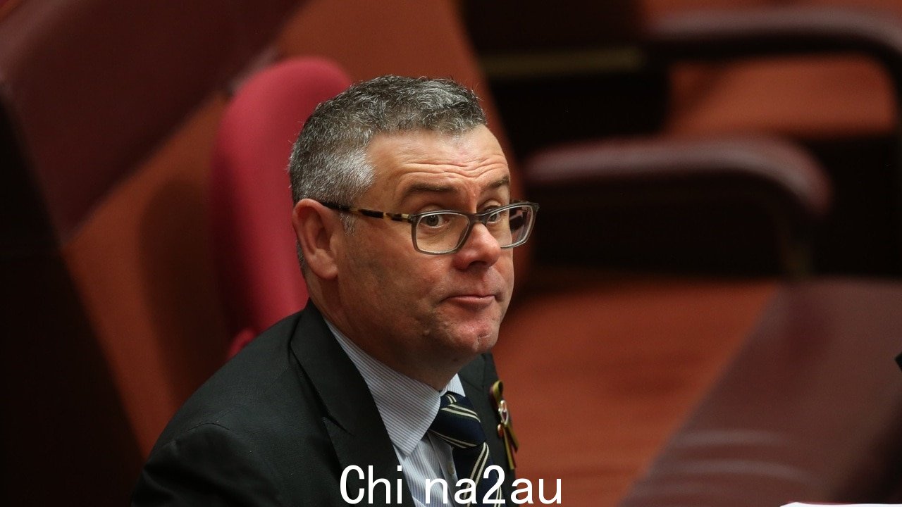 中国解除对澳大利亚制造木材的禁令是向前迈出的‘积极一步’:Murray Watt
