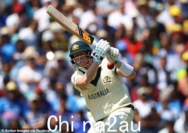 Steve Smith 也看起来与球棒的接触很好,只需要再跑五次再打一个世纪