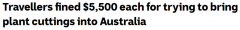入境澳洲不能带这些物品！政府修改法案，违者可被罚款$5500（图）
