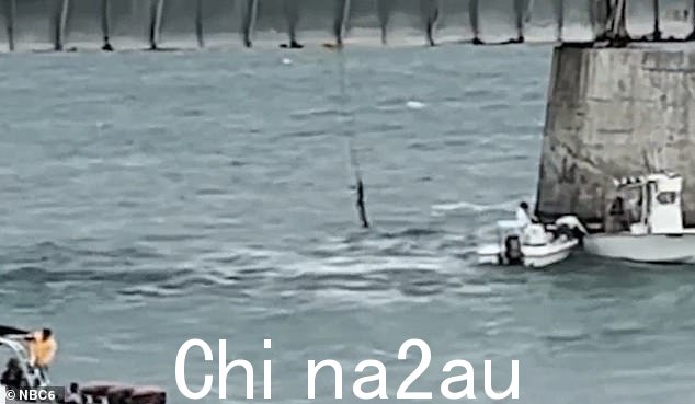 滑翔伞撞上了马拉松以西的旧七英里桥,杀死了 Supraja Alaparthi