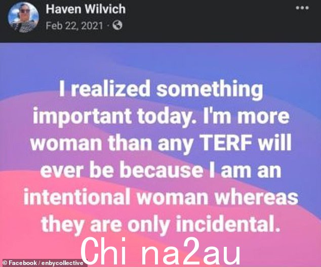Wilvich 之前曾在董事会任职西雅图Nonbinary Collective,并将自己描述为“一个高大、留着胡子、变性女性,金县本地人”