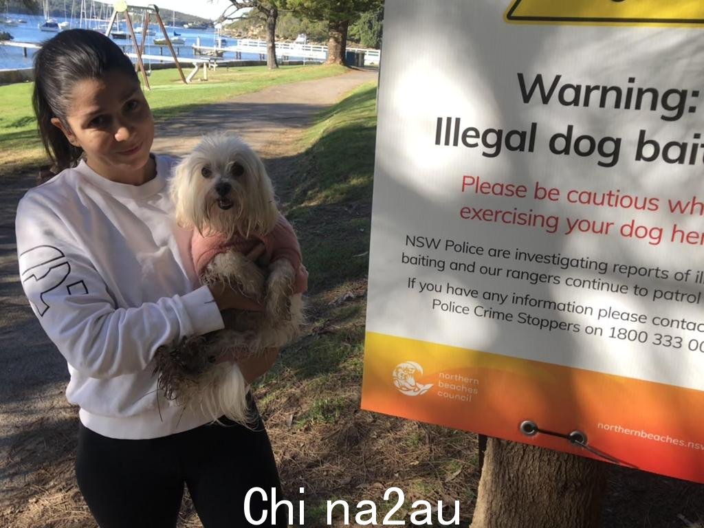 Balgowlah 的 Adriana Garcia 和周五，她的狗 Suzy 在 Balgowlah Heights 的四十篮子海滩，北部海滩委员会在收到有关可能试图在北港保护区毒死狗的报告后，在那里张贴了警告狗主人的标志。照片：Jim O'Rourke”/ ></p><p style=