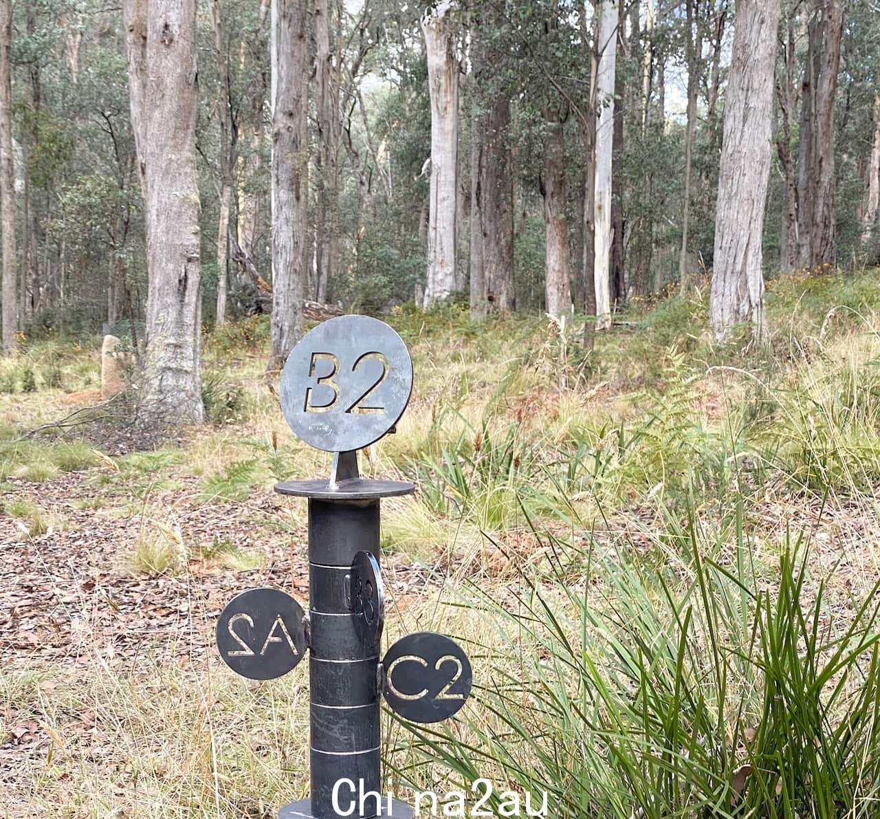 澳大利亚布什与黑色金属标记为 A2、B2 和 C2 的极点。” /></p><p style=