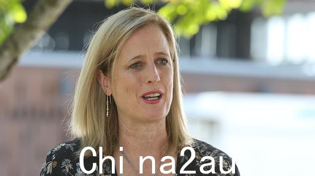 Katy Gallagher 否认她在新闻发布会上误导了议会。图片:Sandhya Ram