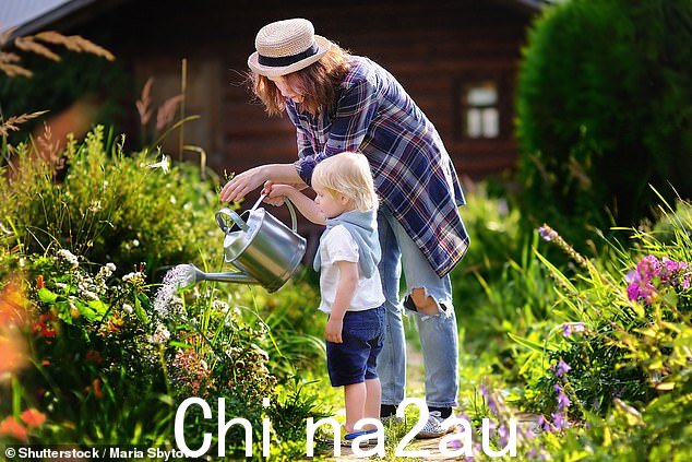 在炎热的温度下,准确知道何时给植物浇水是保持植物绿意盎然的关键。给花园浇水的最佳时间是尽可能早,并且在上午 10 点之前,以避免在 (stock photo)