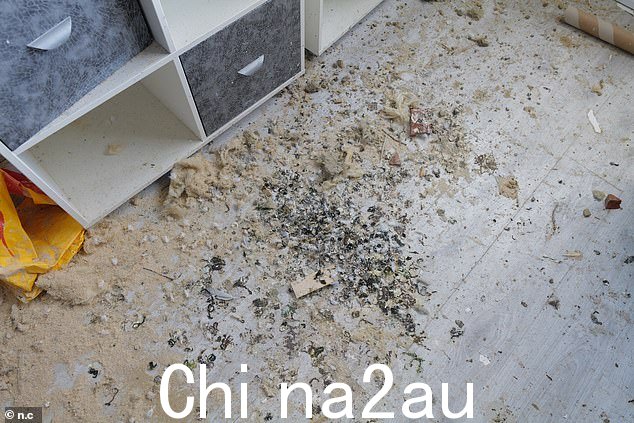 他们去年 11 月离开,因为天花板的一部分从墙上脱落,持续潮湿,灰泥碎片和其他碎片开始落在他们身上