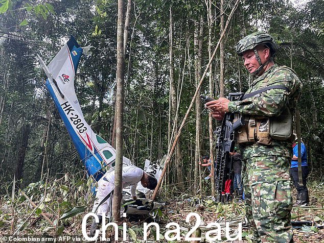 哥伦比亚军队士兵在热带雨林中寻找失踪儿童。他们在飞机失事后失踪了 40 天