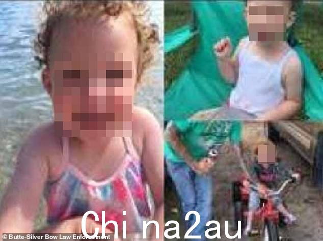 怀特在 4 月 7 日闯入他们生父的家中后绑架了她的两个孩子,在她因撞车事故导致米卡死亡后不久被释放