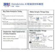 估值380亿！被《财富》深度扒出的隐藏“AI巨兽”Databricks：是时候进入下一个时代了！ （合影）