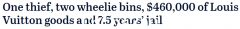 凌晨闯入悉尼LV旗舰店，1小时内搜遍近百件奢侈品！澳洲男子被判入狱7年半（图）