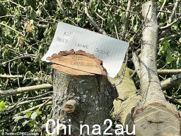 愤怒的自然资源保护主义者将这次破坏称为'树木大屠杀',并留下了称该地区为'犯罪现场'的笔记