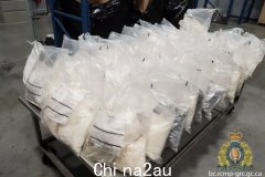 澳洲历史上规模最大的17亿澳元缉毒行动发生在墨尔本：菜籽油瓶中藏有近20亿安非他命！ （合影）