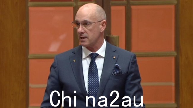 David Van 坚称他对这些事件没有记忆。图片:Sky News Australia