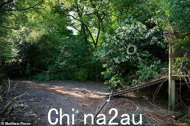 与此同时,这个 180 英尺宽的巨大花园十年来一直处于荒野和失控状态