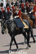 在 Trooping the Color 上骑马的皇室成员