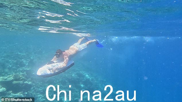 活动:在阳光普照的假期里,还看到一家人尝试了一系列水上运动