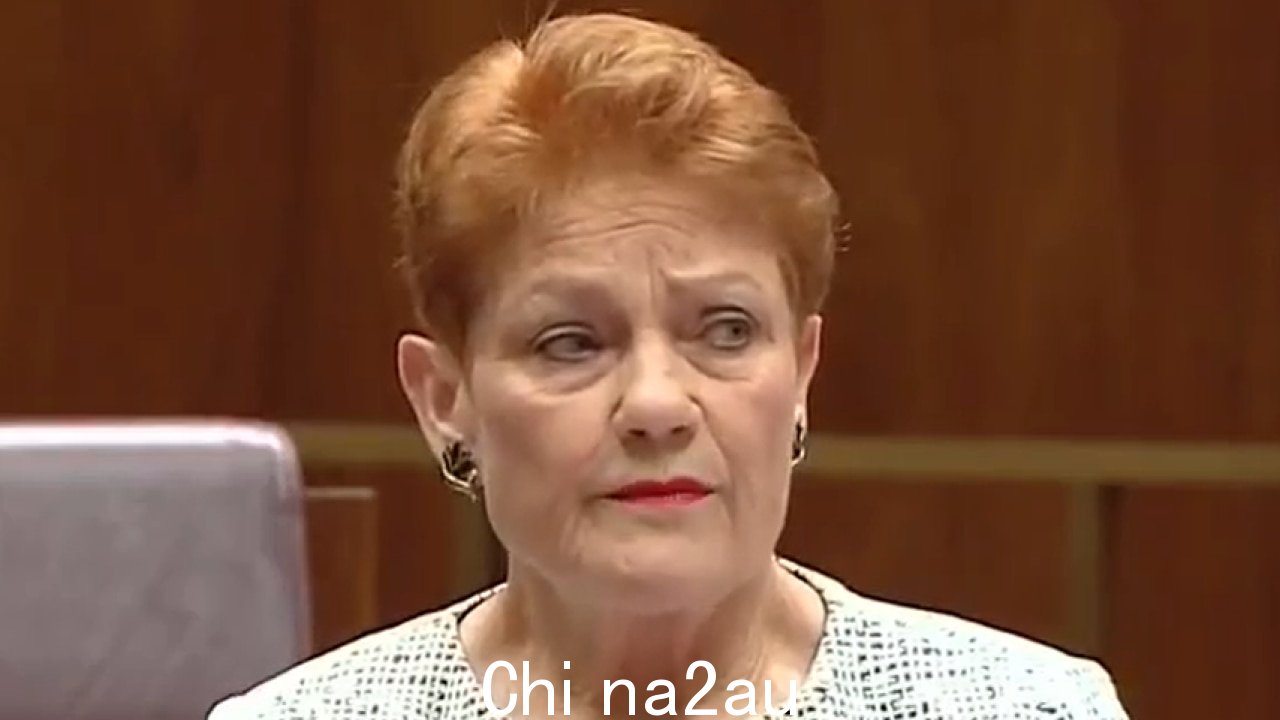 Pauline Hanson 在参议院的一次演讲中猛烈抨击了提议的声音。图片：澳大利亚天空新闻。 