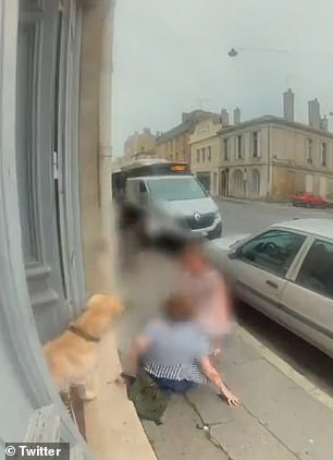他最终被狂吠的狗吓跑了