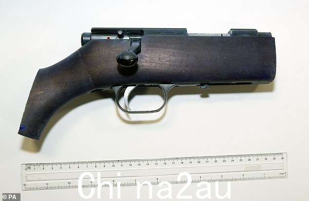 Mair 在 2016 年 6 月 16 日对 41 岁的 Cox 女士进行恶毒攻击时使用了这种武器