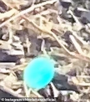 Chloe 然后向她的粉丝展示了相关图片,以及 'orbs' 的特写图片