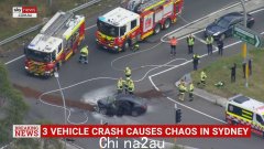 目击者拍摄的视频显示，昆士兰州发生严重车祸后，警官与车内人员发生暴力冲突